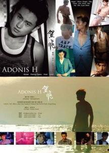 同流合乌手机在线观看,手机在线观看，解锁精彩瞬间