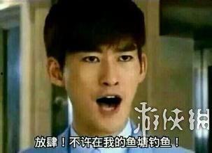 演技不行的明星,却依然星光熠熠的明星盘点