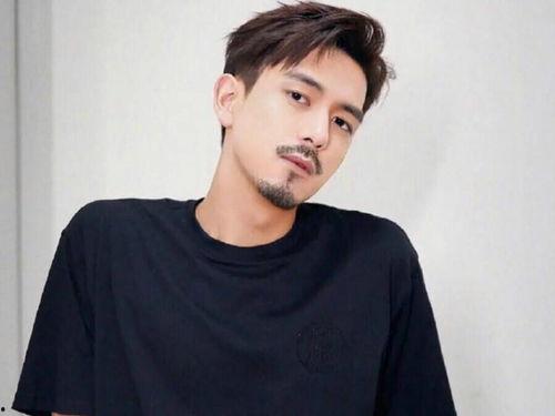 李胡的明星,星光熠熠，璀璨星途