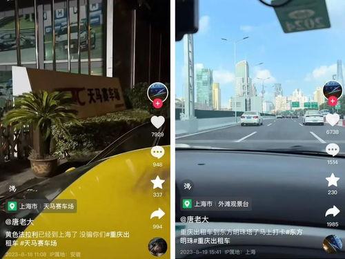 头条哪款车最好开,盘点最受好评的几款最好开的车款