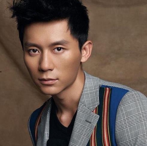 国内综艺男明星,盘点国内综艺男明星风采