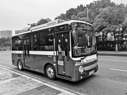 合肥滨湖公交车新闻头条,紧急救援正在进行