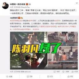 王雁林爆料视频播放大全,揭秘事件背后真相