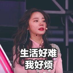 每日深夜吃瓜,揭秘娱乐圈那些不为人知的幕后故事