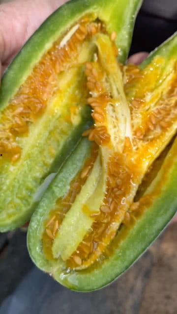 吃整个黄软瓜视频,揭秘黄软瓜的神奇魅力