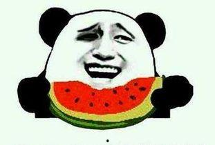 吃瓜群众哥哥吃西瓜了,吃瓜群众哥哥的西瓜盛宴