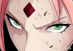 百豪小樱官方爆料视频,揭秘角色新动向与精彩剧情