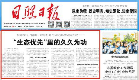 东港最新盗贼新闻头条,警方全力追捕中