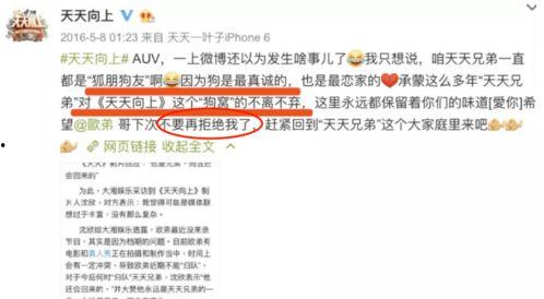 娱乐圈爆料400页内容,明星幕后真相大起底