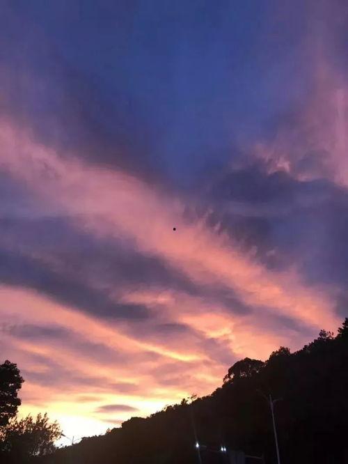 夕阳红网红,老年生活新风尚的引领者