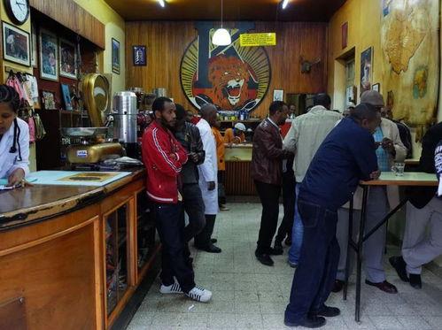 网红路边咖啡摊视频,网红现象背后的生活美学