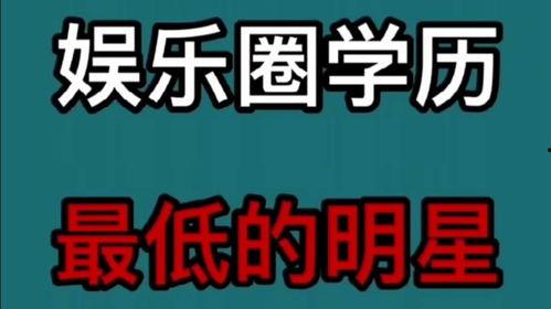 低学历明星赚钱,揭秘他们的财富密码