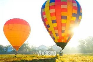 明星热气球,空中璀璨之夜