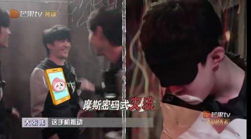 大张伟明星大侦探密逃,揭秘悬疑之旅