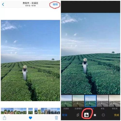 今日头条拍照好看的图,今日头条精选摄影佳作瞬间