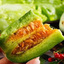 甜瓜概念爆料视频大全下载