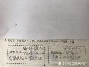 哪料掀开卷子一看,揭秘“哪料掀开卷子一看”背后的故事