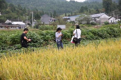 东北种地网红,田间地头的“新农人”传奇