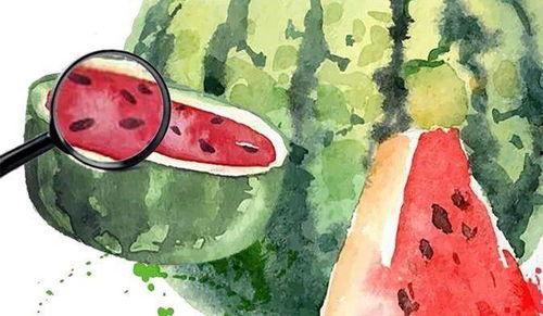 吃瓜的关心瓜的感受,揭秘吃瓜群众的喜怒哀乐