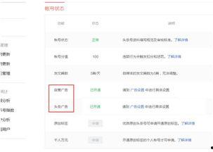 发布头条专栏赚钱,轻松实现内容变现的秘诀