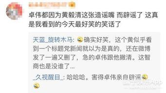 卓伟爆料晨冰事件真相视频,卓伟爆料背后的真相曝光