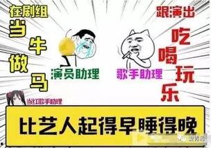 明星助理招聘简历