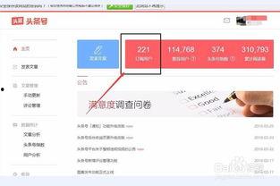 头条阅读时间查看,头条阅读时间背后的秘密，深度解析用户行为