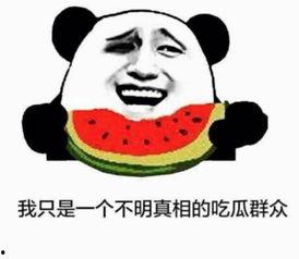 喜欢吃瓜的同事,揭秘我那爱吃瓜的同事