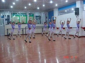 广州网红款舞蹈镜哪家好,品质与时尚兼具的选购指南