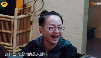 明星模仿赵宝刚,明星模仿秀中的风采重现