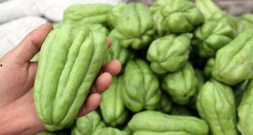 长佛手瓜怎么吃,探索美味与营养的完美结合