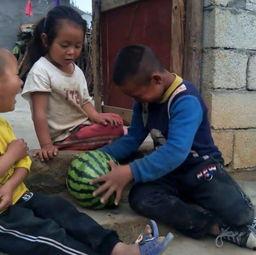 三兄妹吃瓜,夏日欢乐时光