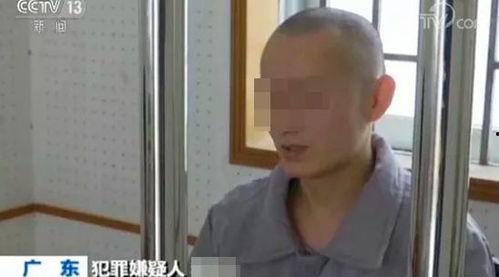 网红六次被打事件,揭秘网络暴力背后的真相